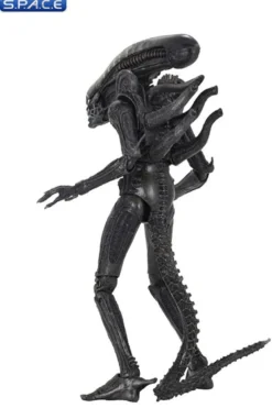 Ultimate Big Chap Alien