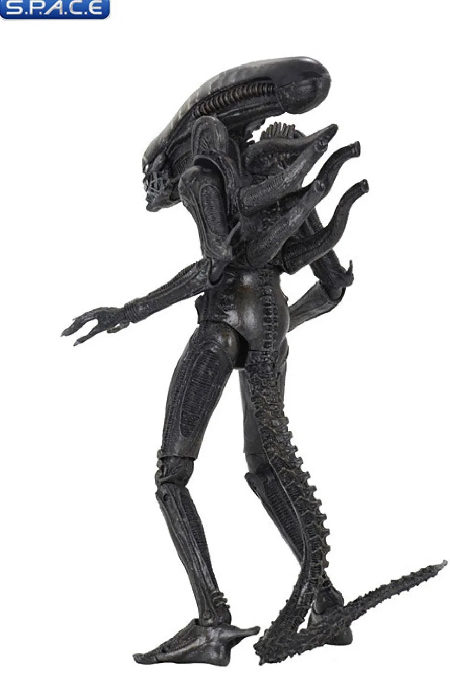 Ultimate Big Chap Alien