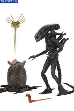 Ultimate Big Chap Alien
