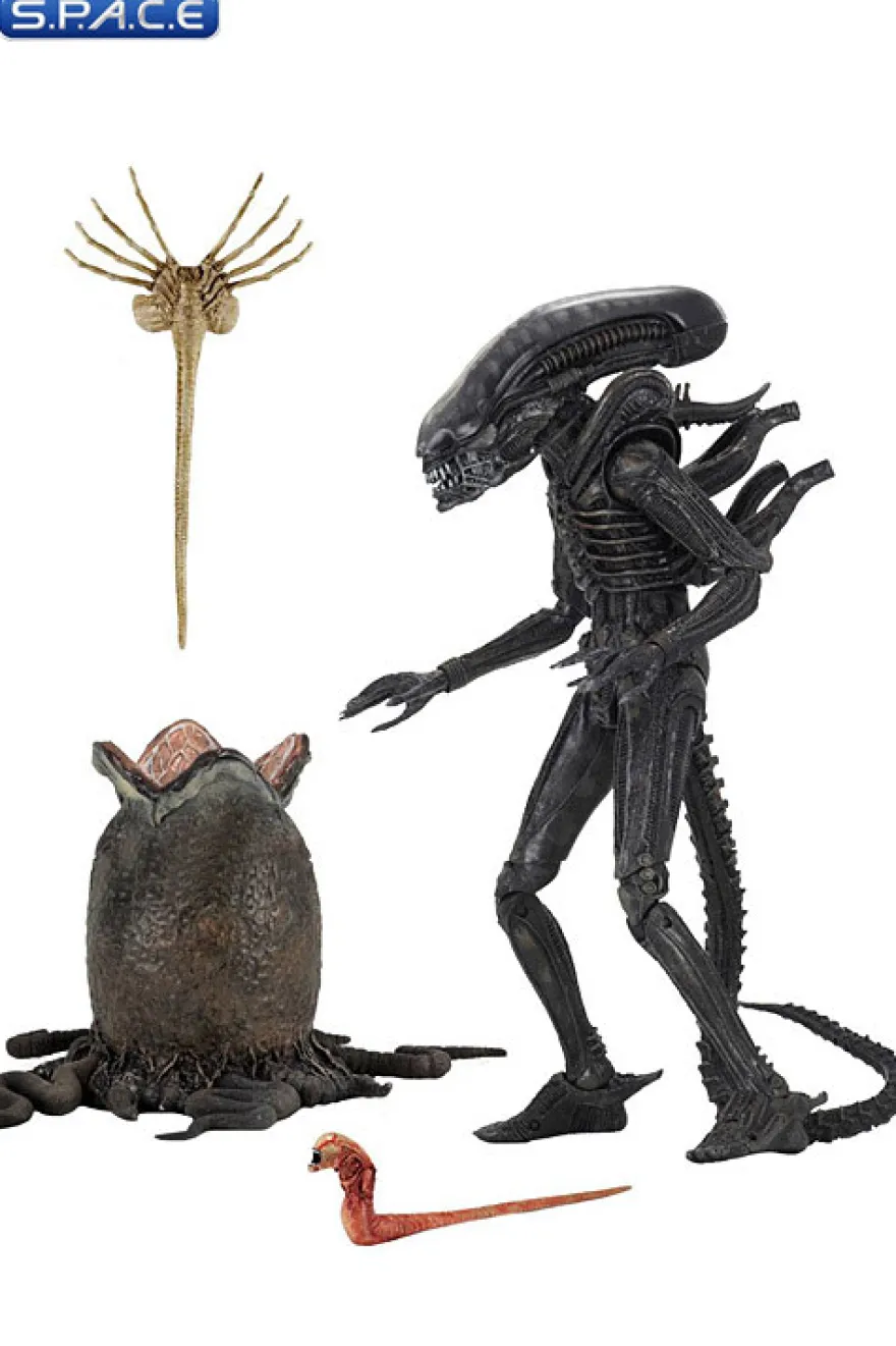 Ultimate Big Chap Alien
