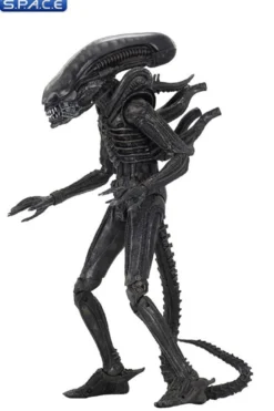 Ultimate Big Chap Alien