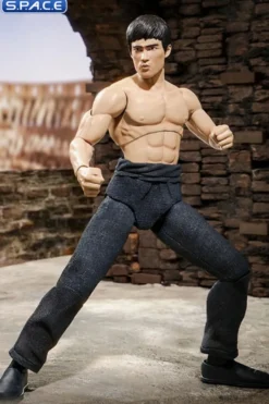 Ultimate Bruce Lee - The Warrior Version