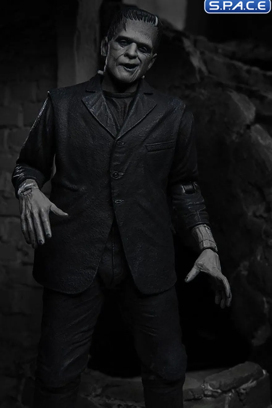 Ultimate Frankenstein's Monster