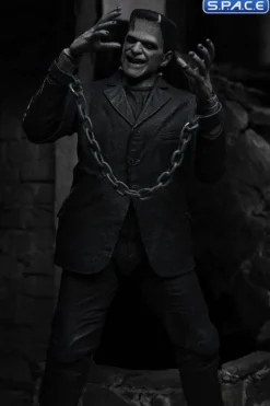 Ultimate Frankenstein's Monster