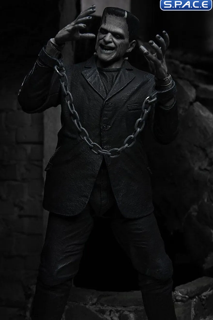 Ultimate Frankenstein's Monster