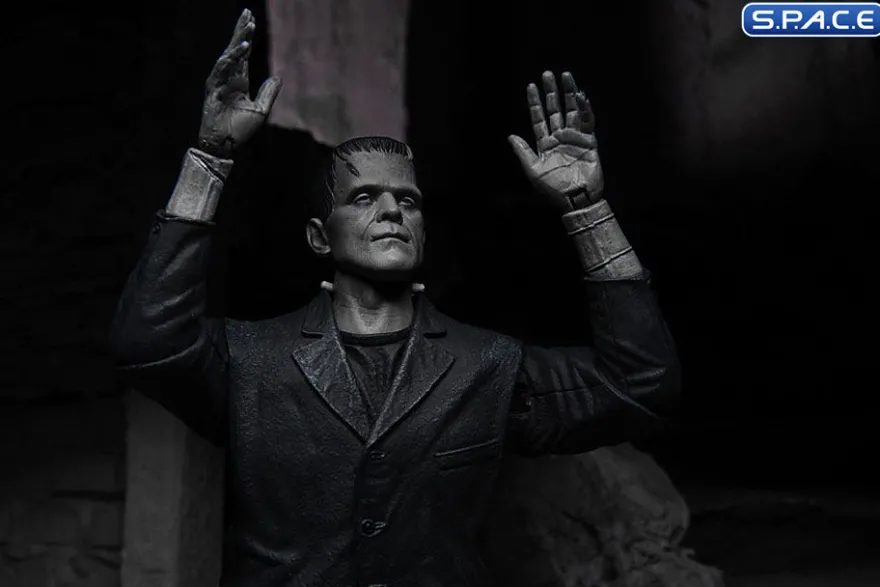 Ultimate Frankenstein's Monster