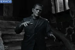 Ultimate Frankenstein's Monster