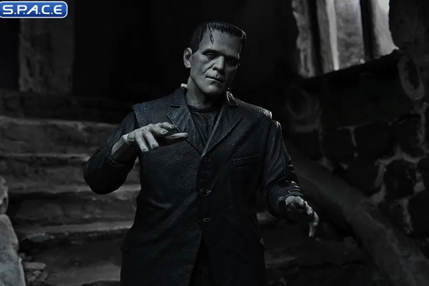 Ultimate Frankenstein's Monster