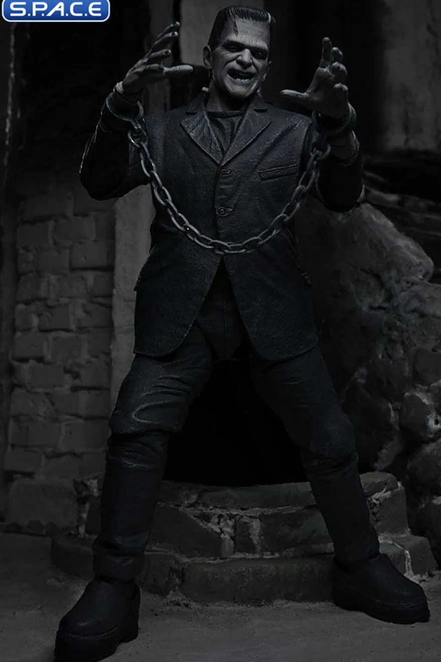 Ultimate Frankenstein's Monster