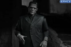 Ultimate Frankenstein's Monster