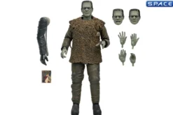 Ultimate Frankenstein's Monster