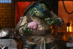 Ultimate Leonardo as The Hunchback