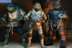 Ultimate Michelangelo as The Mummy