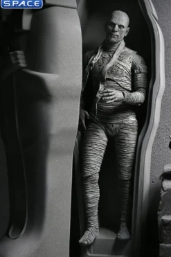 Ultimate Mummy - black & white ver.