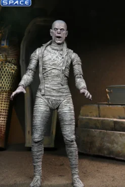 Ultimate Mummy - color ver.