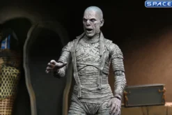 Ultimate Mummy - color ver.