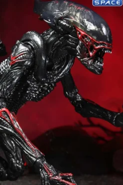 Ultimate Night Cougar Alien »Kenner Tribute«