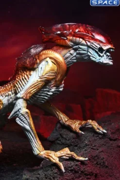 Ultimate Panther Alien »Kenner Tribute«