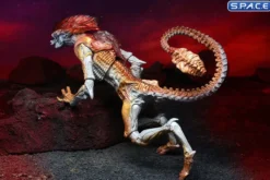 Ultimate Panther Alien »Kenner Tribute«