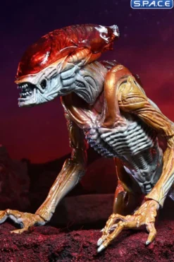 Ultimate Panther Alien »Kenner Tribute«