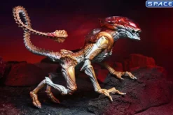 Ultimate Panther Alien »Kenner Tribute«
