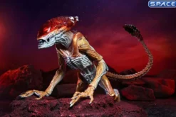 Ultimate Panther Alien »Kenner Tribute«