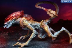 Ultimate Panther Alien »Kenner Tribute«
