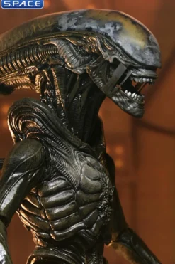 Ultimate Wendy's Xenomorph