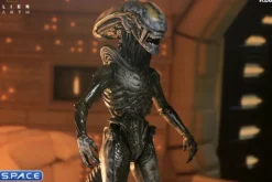 Ultimate Wendy's Xenomorph