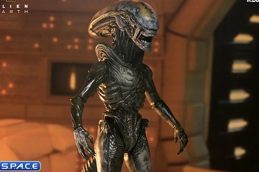 Ultimate Wendy's Xenomorph