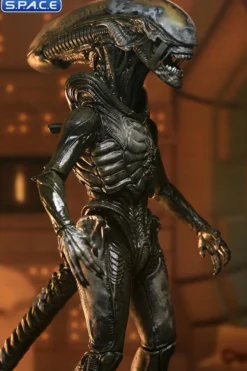 Ultimate Wendy's Xenomorph