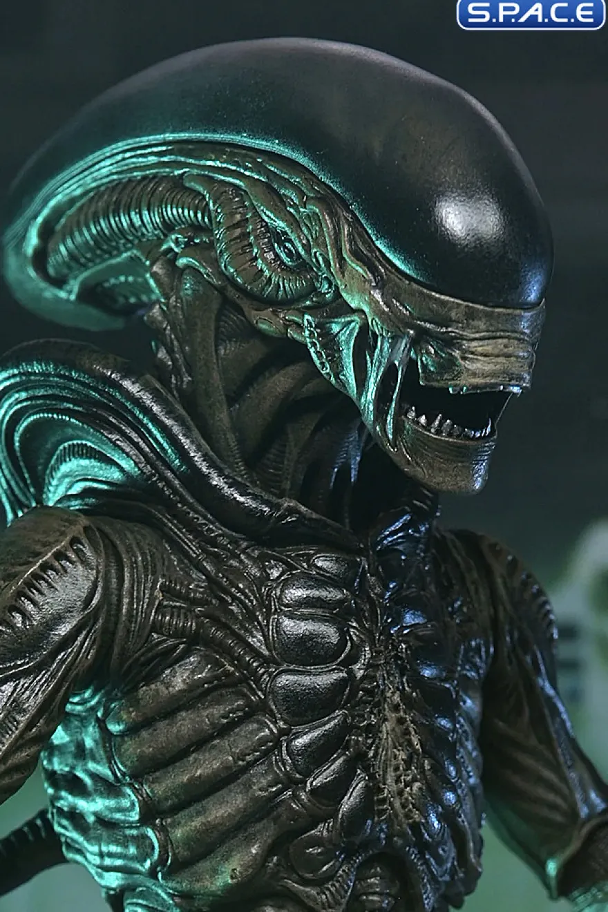 Ultimate Xenomorph