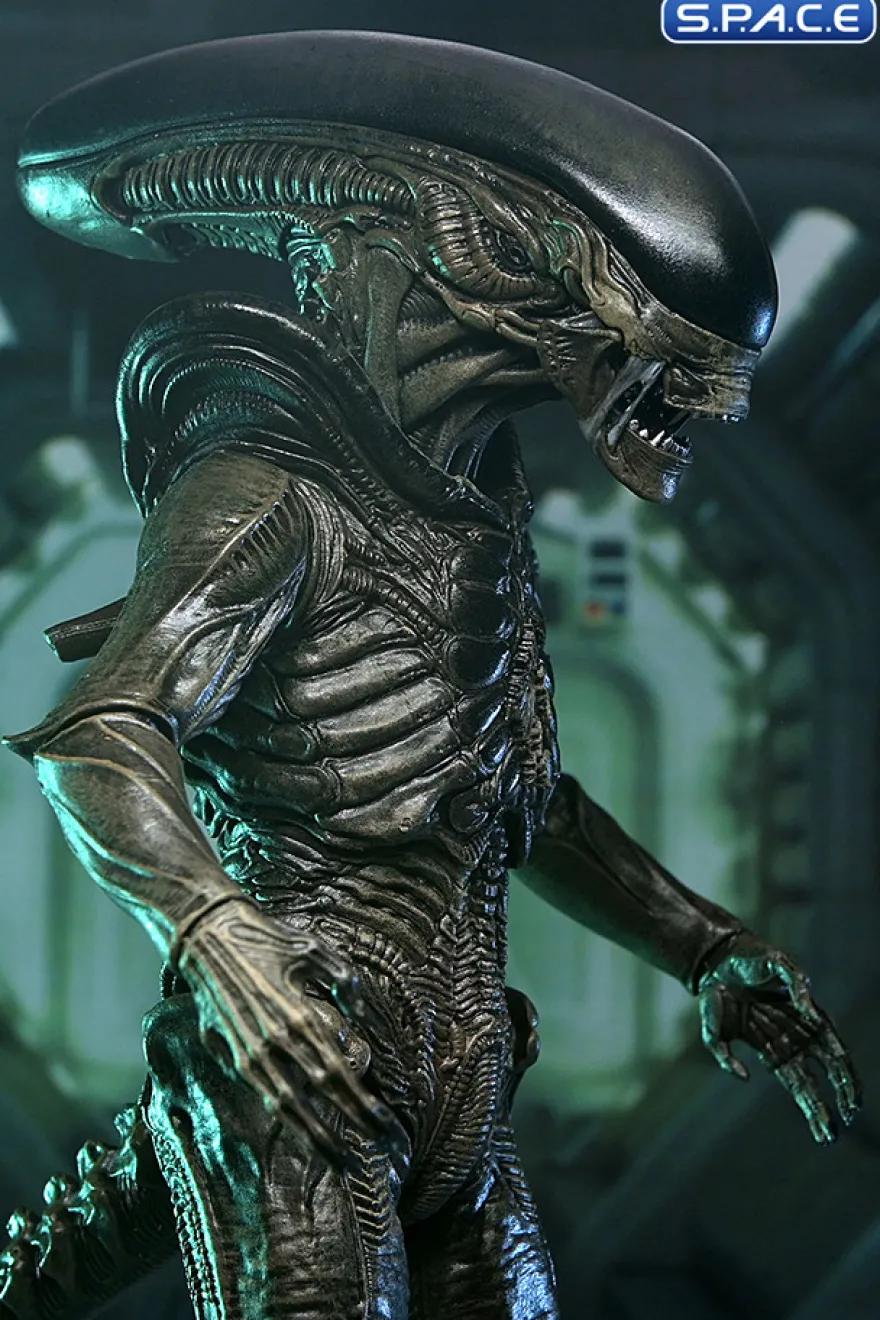 Ultimate Xenomorph