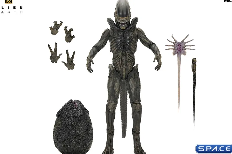 Ultimate Xenomorph