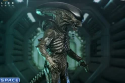 Ultimate Xenomorph