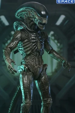 Ultimate Xenomorph