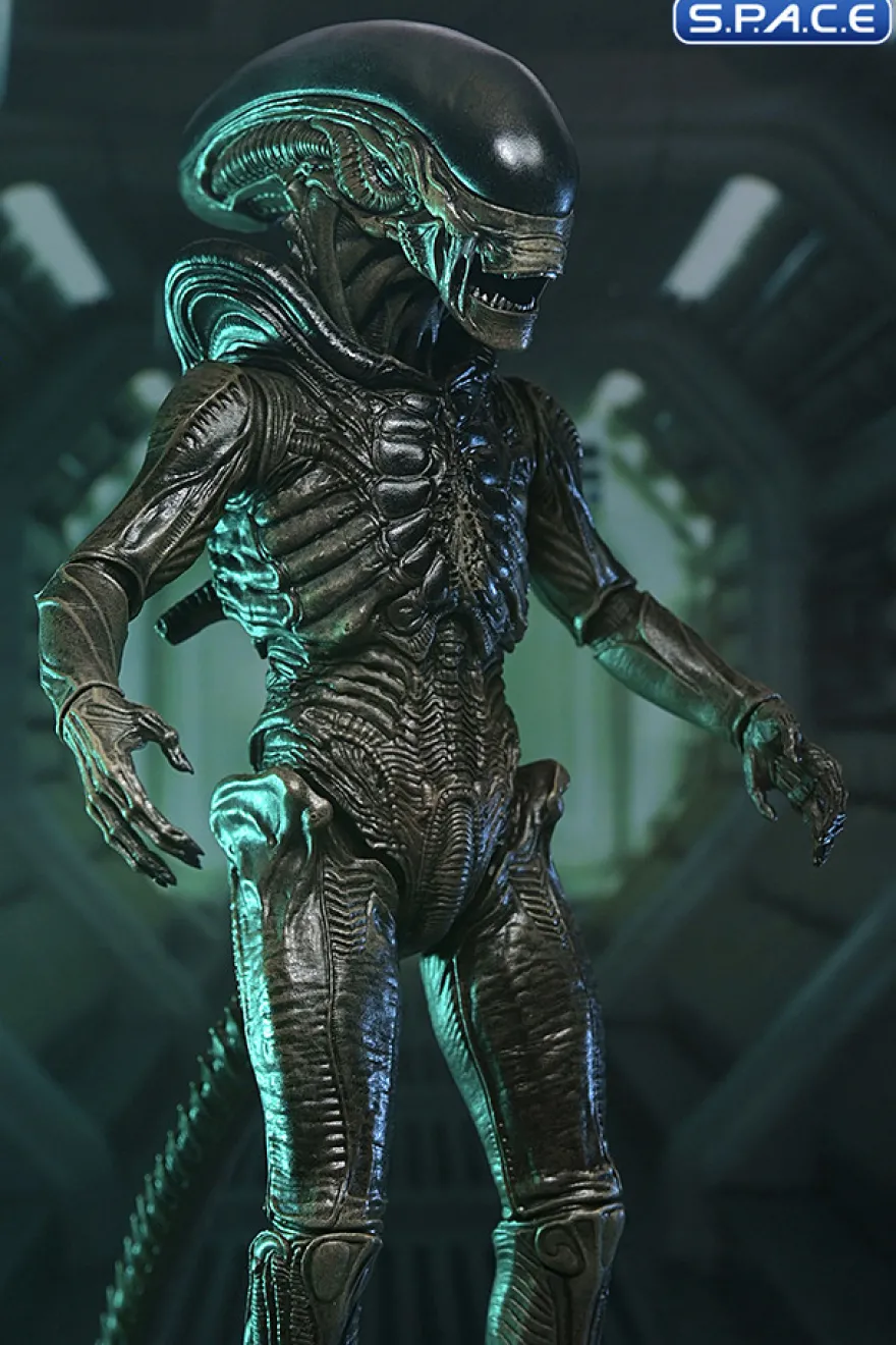 Ultimate Xenomorph