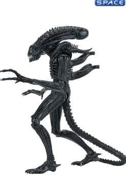 Ultimate Xenomorph Warrior - 40th Anniversary Version