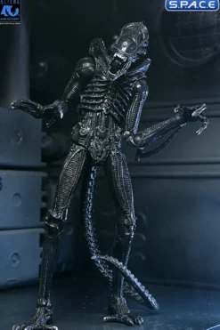 Ultimate Xenomorph Warrior - 40th Anniversary Version