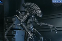 Ultimate Xenomorph Warrior - 40th Anniversary Version