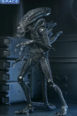 Ultimate Xenomorph Warrior - 40th Anniversary Version