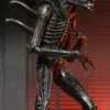 Ultimate Xenomorph XX121