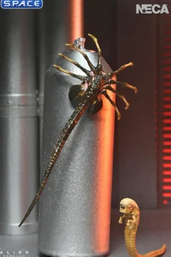 Ultimate Xenomorph XX121