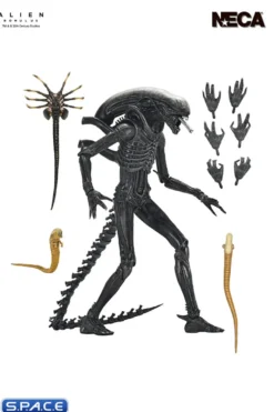 Ultimate Xenomorph XX121