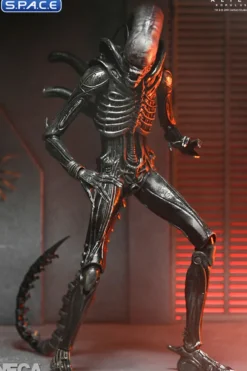 Ultimate Xenomorph XX121