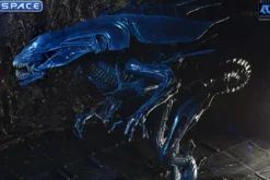 Ultra Deluxe Xenomorph Queen - 40th Anniversary Version