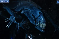 Ultra Deluxe Xenomorph Queen - 40th Anniversary Version