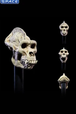 Undead Head Pack