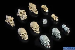 Undead Head Pack