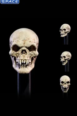 Undead Head Pack